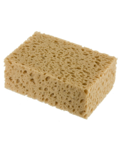 Schwamm